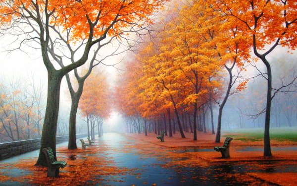 Photography - park Wallpapers and Backgrounds