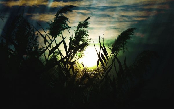 Artistic - landscape Wallpapers and Backgrounds