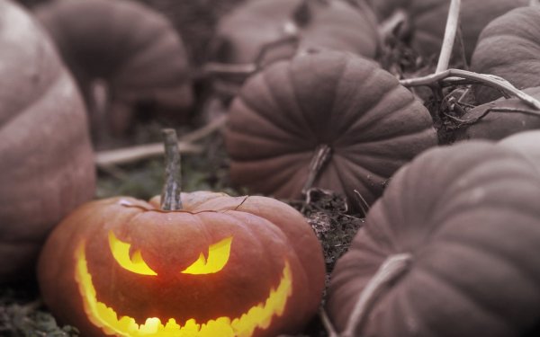 Holiday - Halloween Wallpapers and Backgrounds