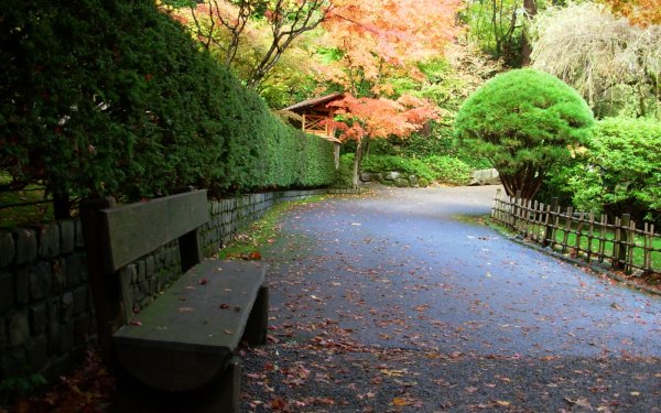 Photography - park Wallpapers and Backgrounds