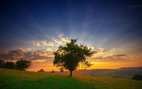 Photography - scenic Wallpapers and Backgrounds