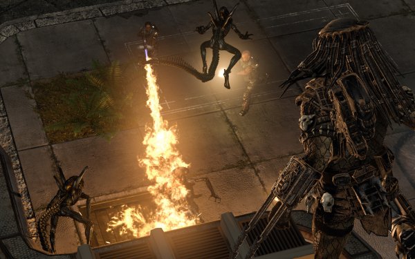 Video Game - aliens vs. predator Wallpapers and Backgrounds