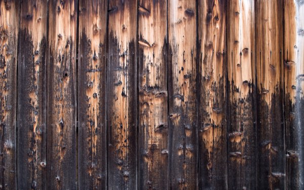Pattern - Real World Wallpapers and Backgrounds
