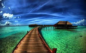 Photography - tropical Wallpaper