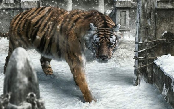 CGI - animal Wallpapers and Backgrounds