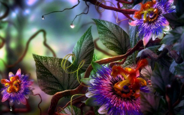 CGI - nature Wallpapers and Backgrounds