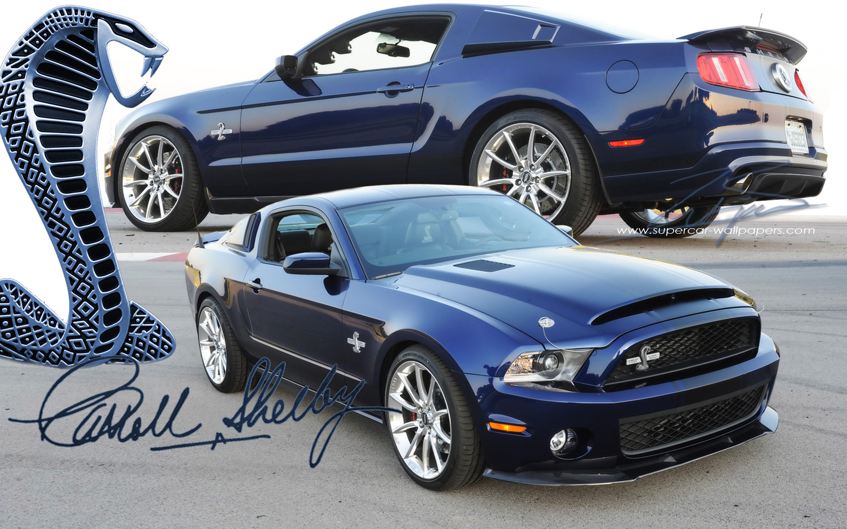 Shelby GT500 SuperSnake