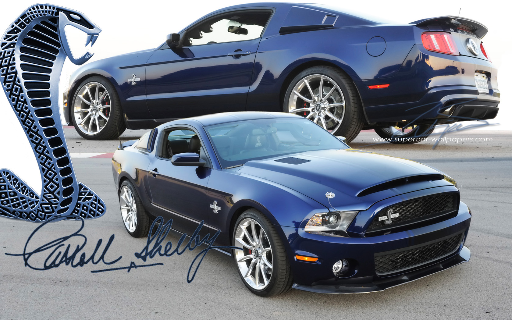 ford mustang shelby gt500 super snake hd