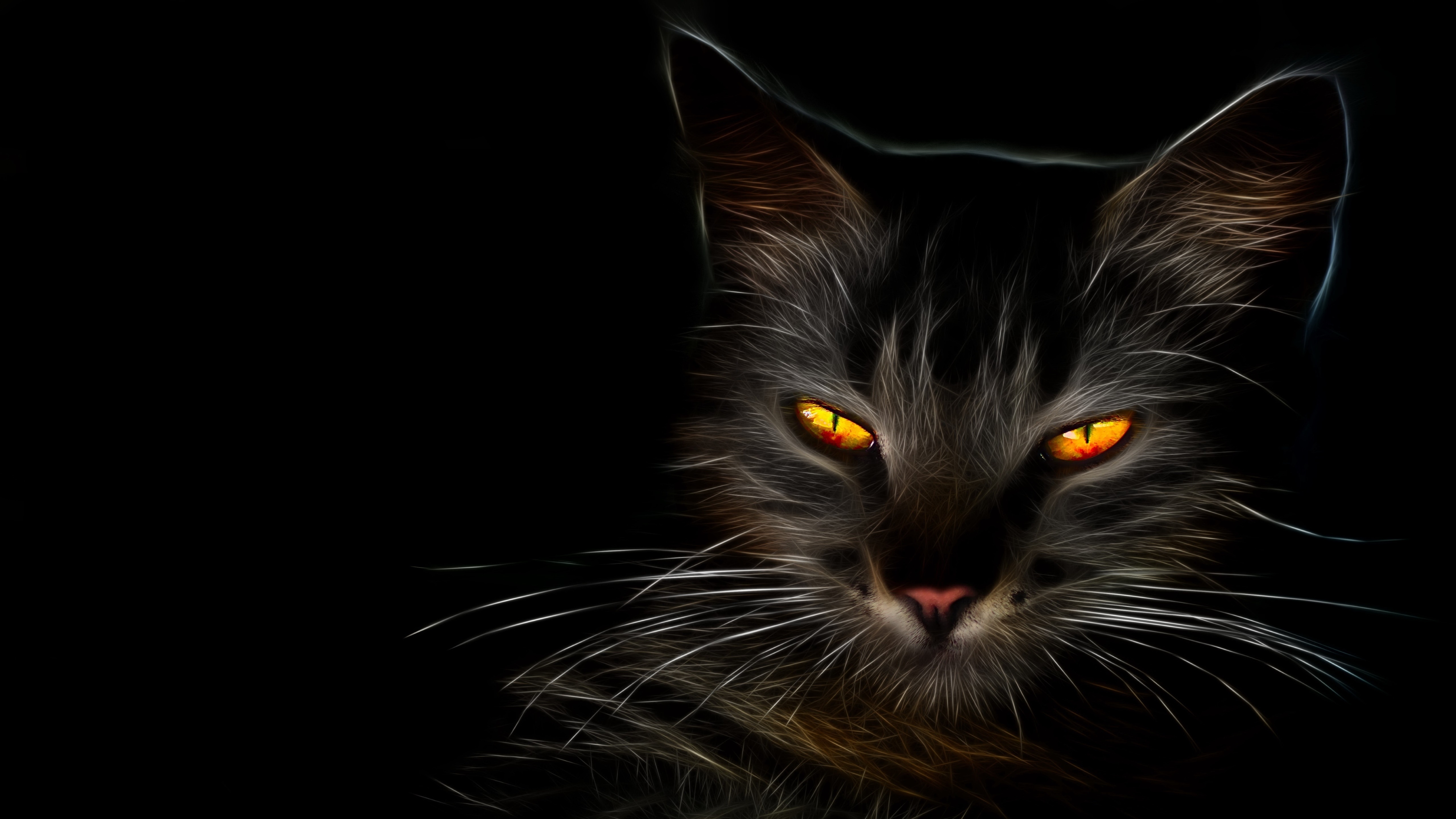  Black  Cat  with Amber Eyes  4k Ultra HD Wallpaper  