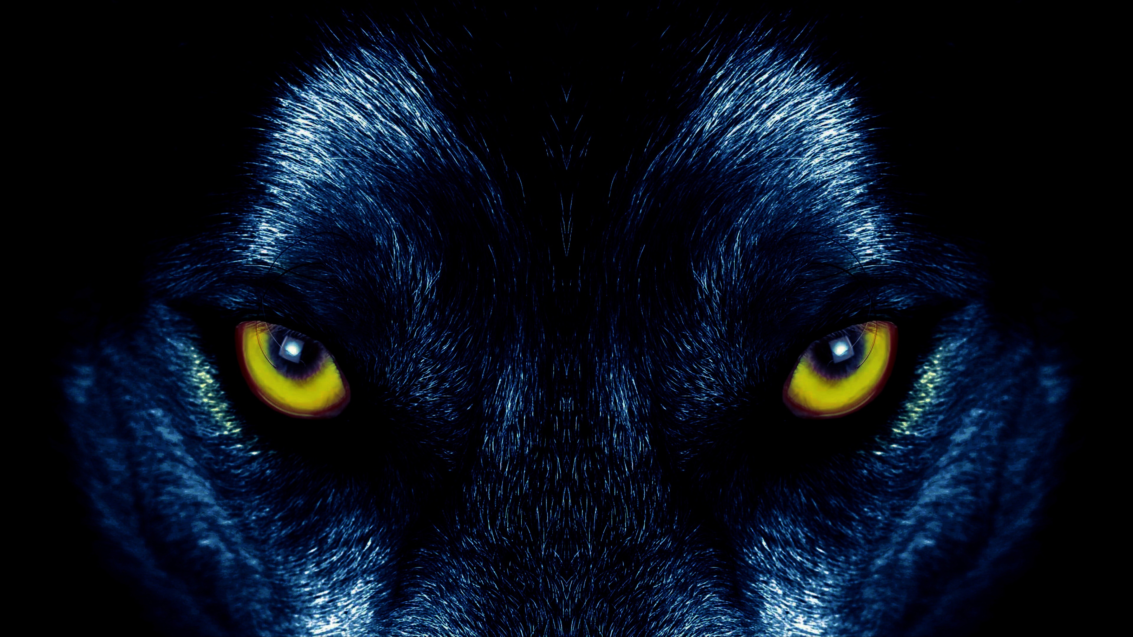 Wolf Eyes