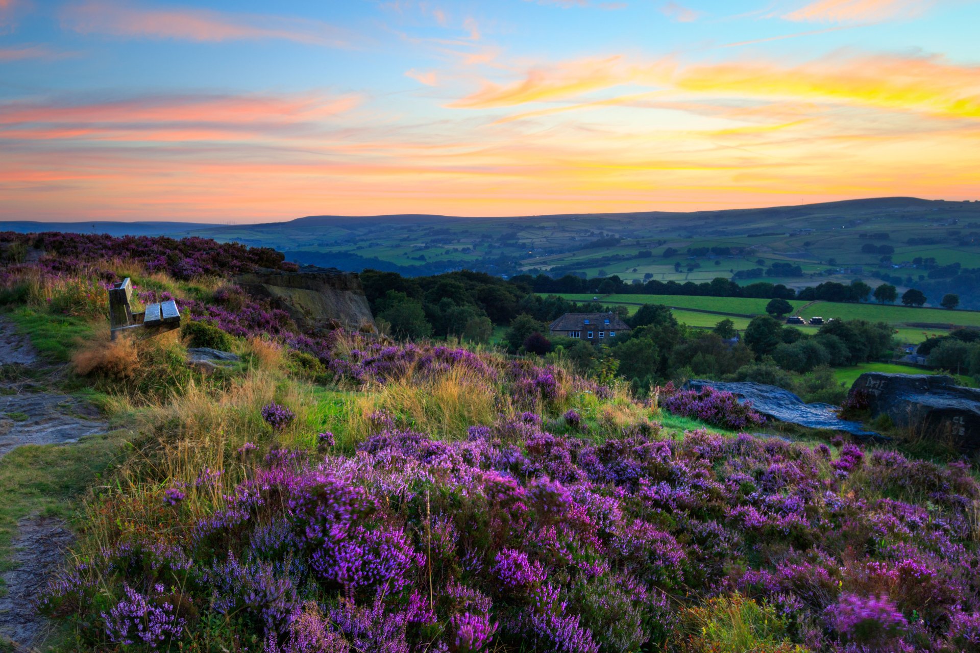 Download Sunset Heather Bench Nature Landscape 4k Ultra HD Wallpaper