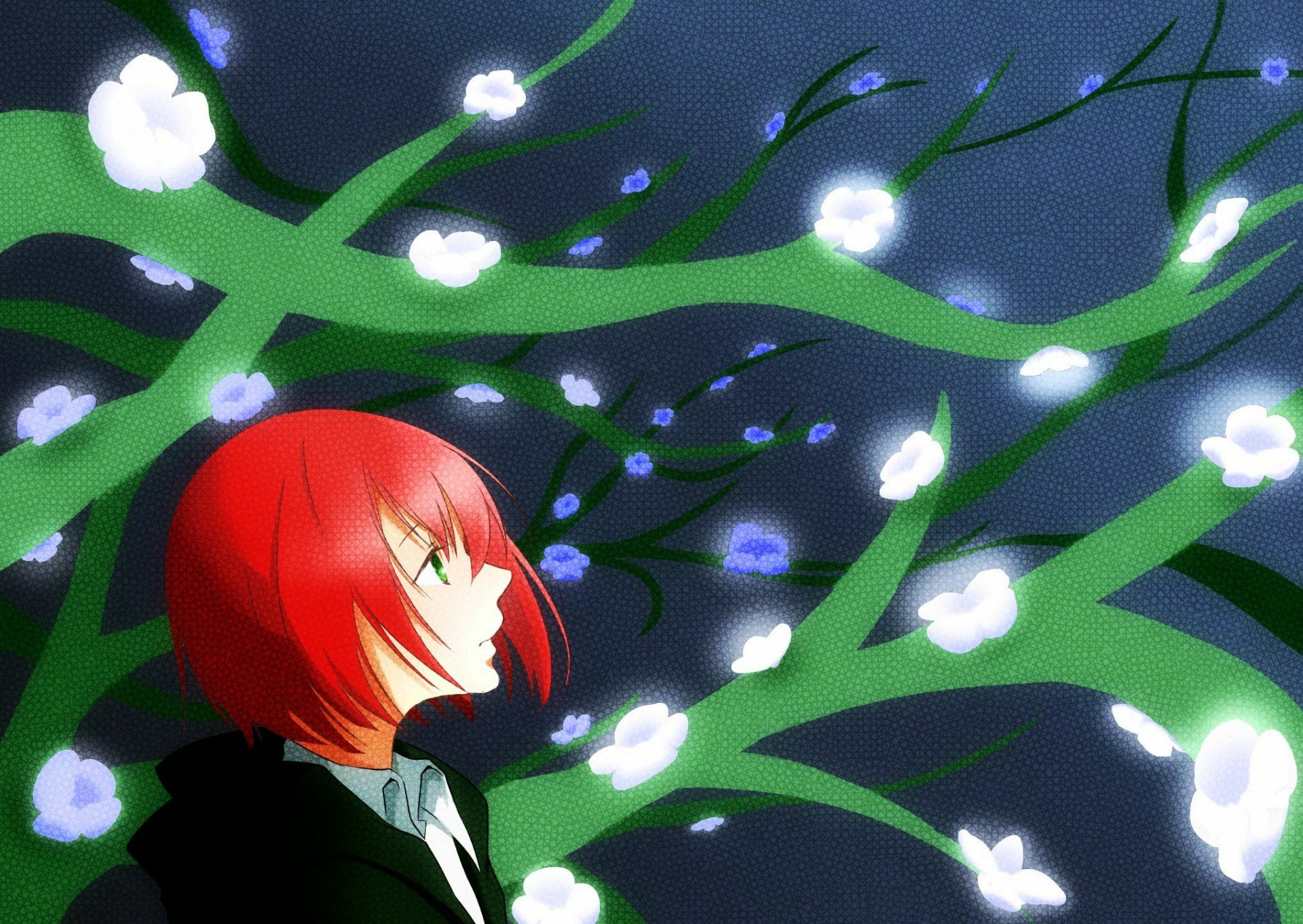 Download Chise Hatori Anime The Ancient Magus' Bride HD Wallpaper by 秋