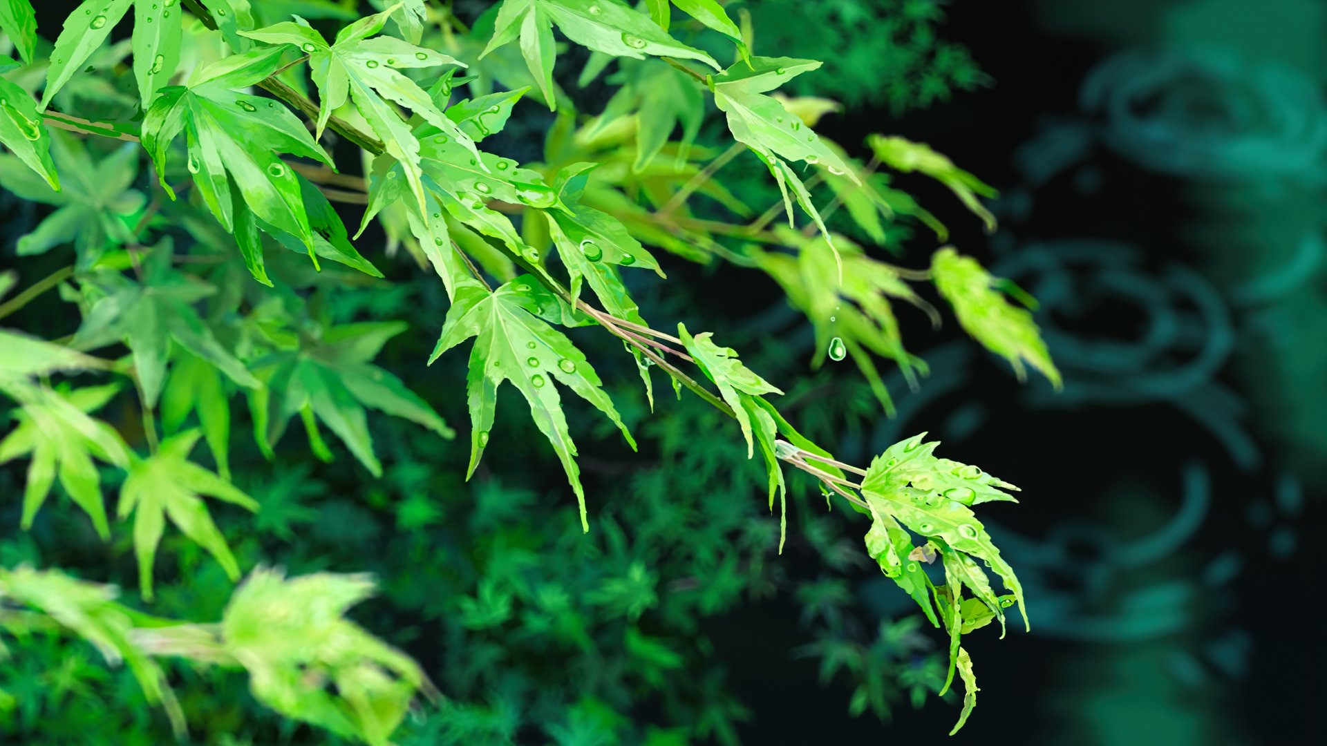 Anime-style close-up of vibrant green leaves from The Garden of Words, rendered in stunning 8K Ultra HD for a detailed PC desktop wallpaper and background.