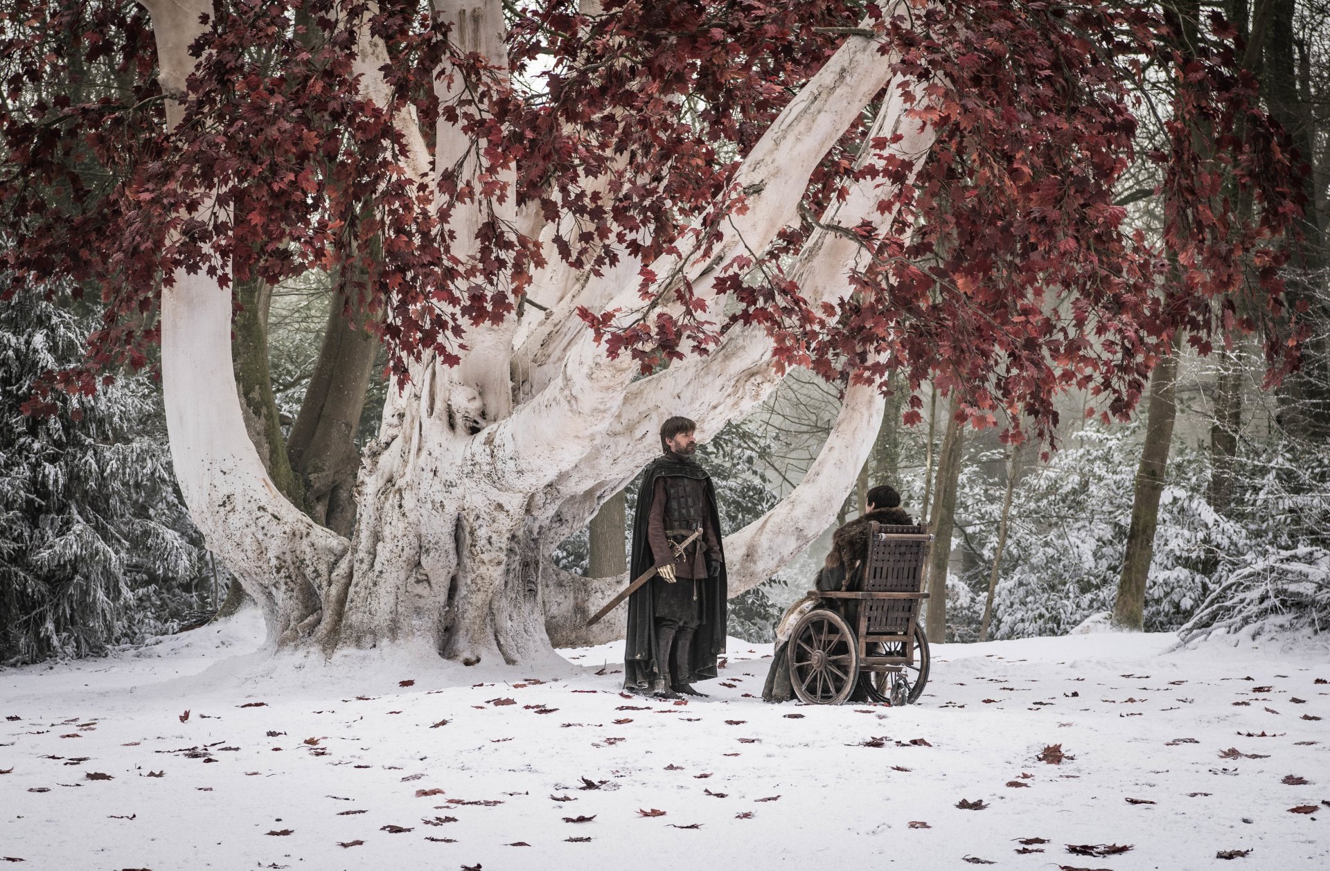 Bran Stark and Jaime Lannister, played by Nikolaj Coster-Waldau, stand beneath a snowy, leaf-draped tree in a scenic Game of Thrones HD desktop wallpaper.