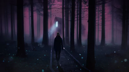  Walking through Night Forest toward House