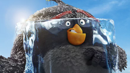 movie The Angry Birds Movie 2 HD Desktop Wallpaper | Background Image