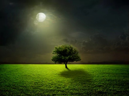  Lone Tree under Full Moon