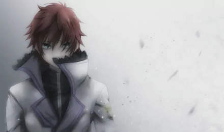 HD PC desktop wallpaper featuring Reinhard van Astrea from the anime Re:Zero - Starting Life in Another World with muted tones and a subtle, smoky background.