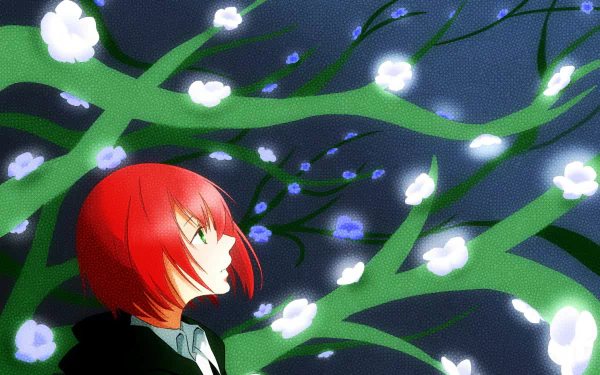 Chise Hatori Anime The Ancient Magus' Bride HD Desktop Wallpaper | Background Image