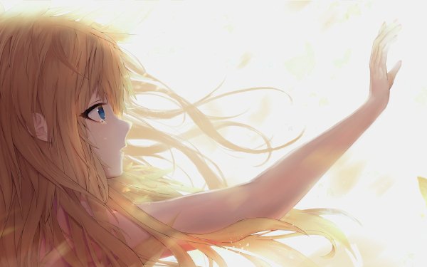 Anime Original Tears Crying Butterfly HD Wallpaper | Background Image