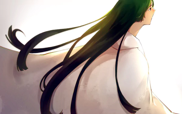 Enkidu (Fate/Grand Order) Anime Fate/Grand Order HD Desktop Wallpaper | Background Image