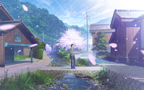 Anime Original Spring Sakura HD Wallpaper | Background Image