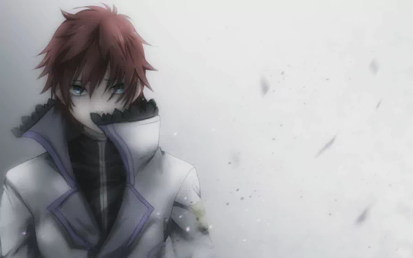 HD PC desktop wallpaper featuring Reinhard van Astrea from the anime Re:Zero - Starting Life in Another World with muted tones and a subtle, smoky background.