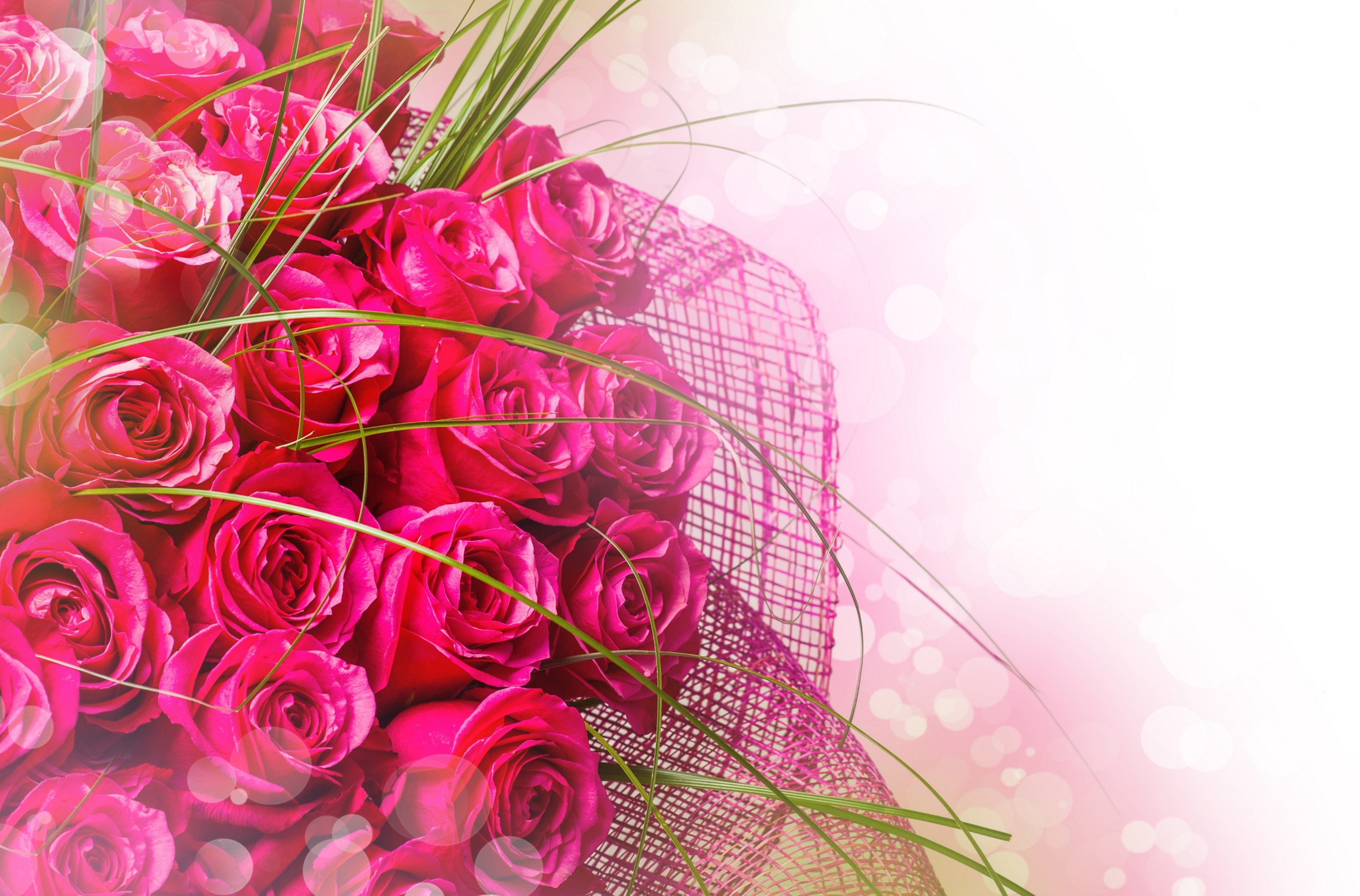 Download Bouquet Pink Rose Flower Nature Rose 4k Ultra HD Wallpaper