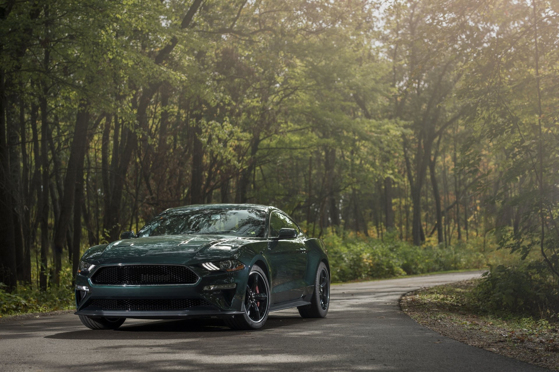 Download Muscle Car Green Car Car Ford Ford Mustang Vehicle Ford Mustang Bullitt 4k Ultra HD Wallpaper