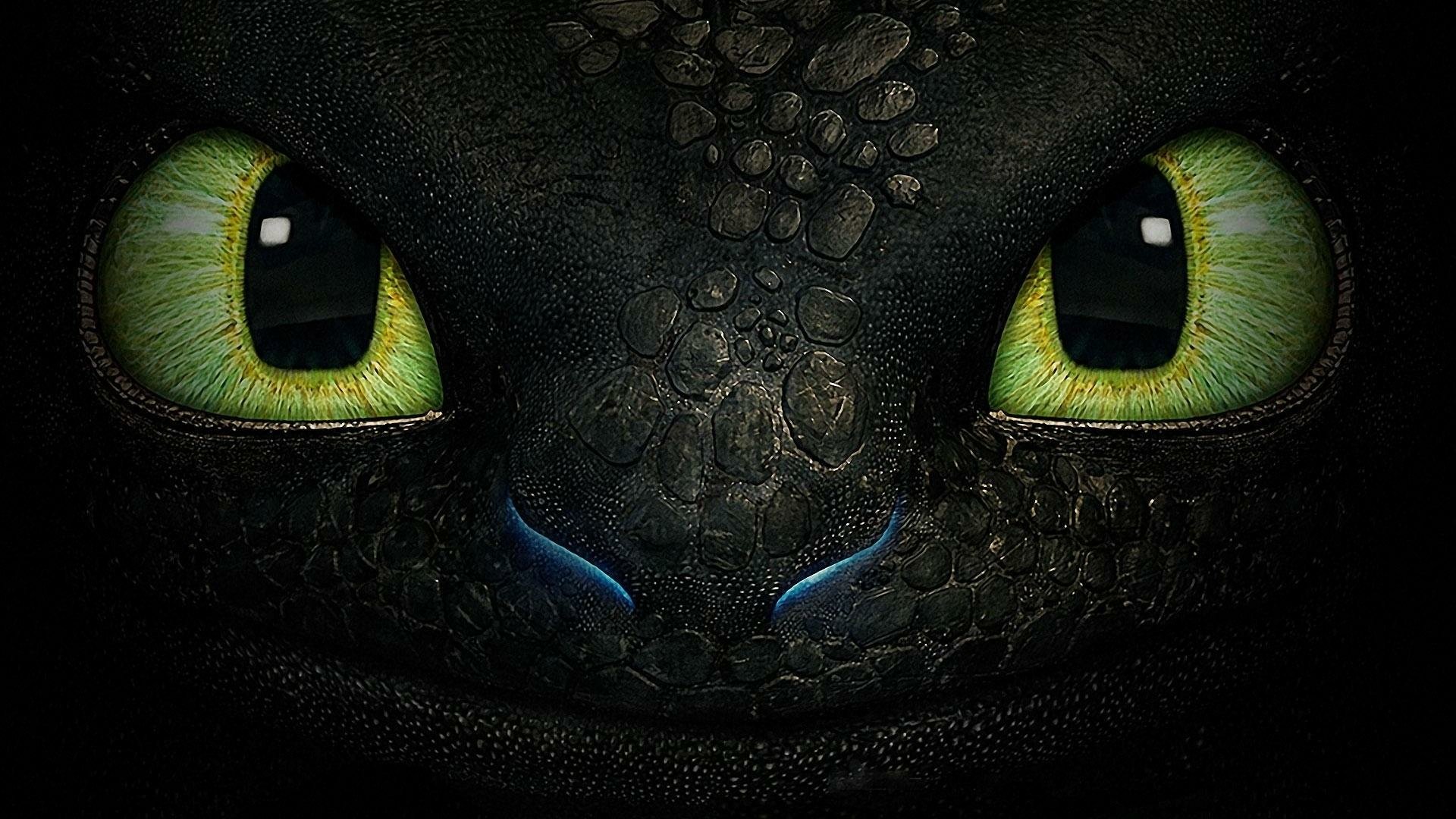 How To Train Your Dragon Hd Wallpaper Background Image How To Train Your Dragon Hd Wallpaper Background Image