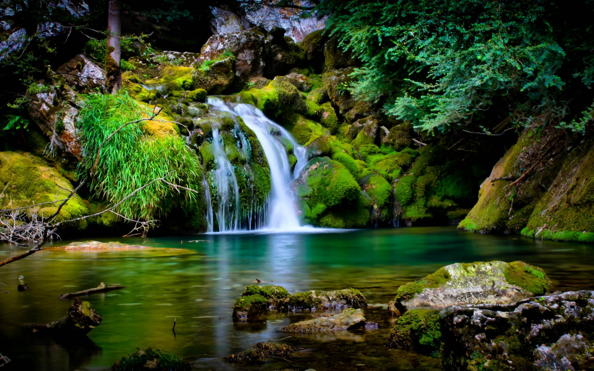 A stunning HD wallpaper of a serene waterfall in France, surrounded by lush, green nature. The clear water cascades over moss-covered rocks, creating a tranquil and picturesque landscape.