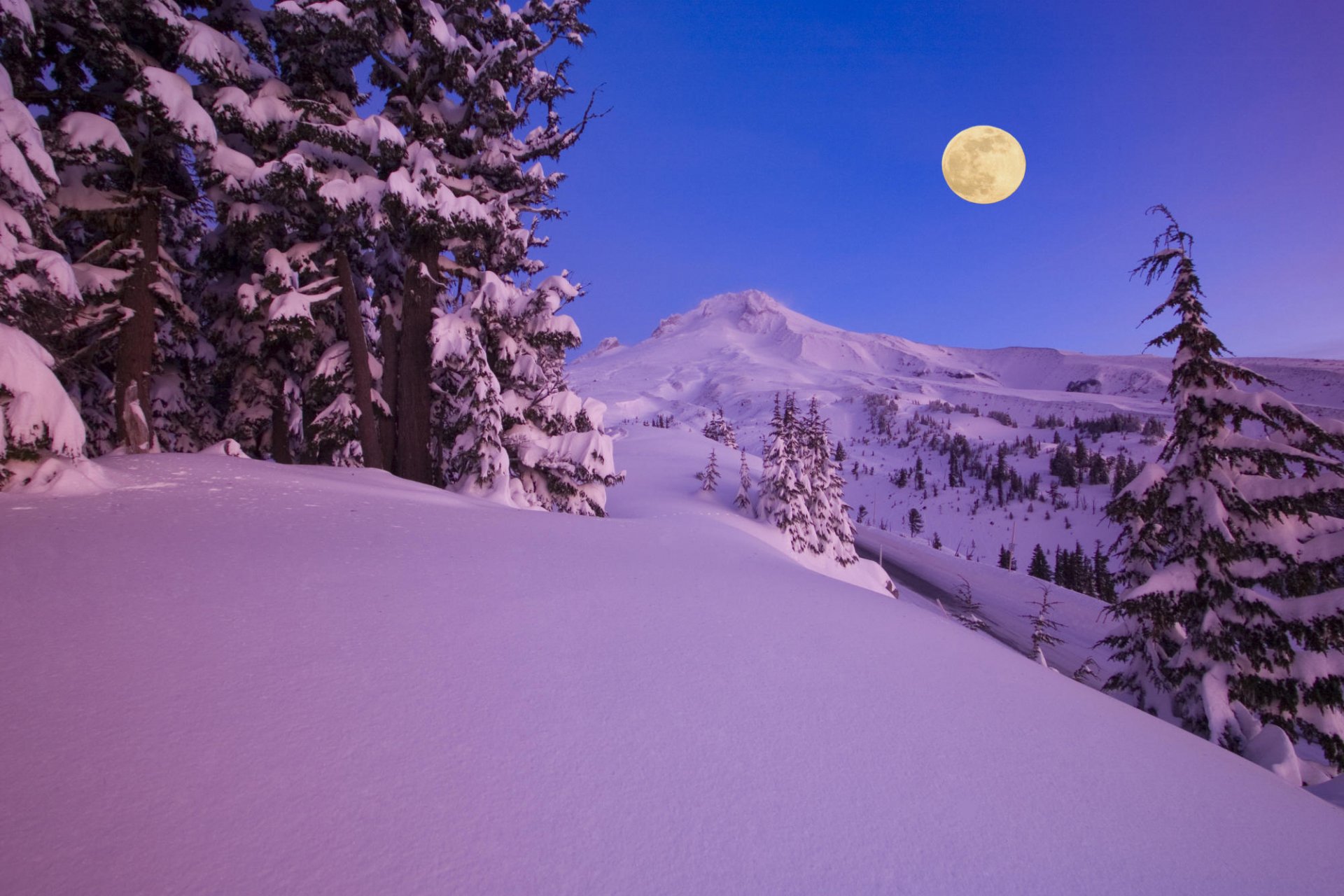 A serene winter landscape featuring snow-covered mountains and trees under a bright moon, creating a tranquil atmosphere for a nature-themed HD desktop wallpaper.