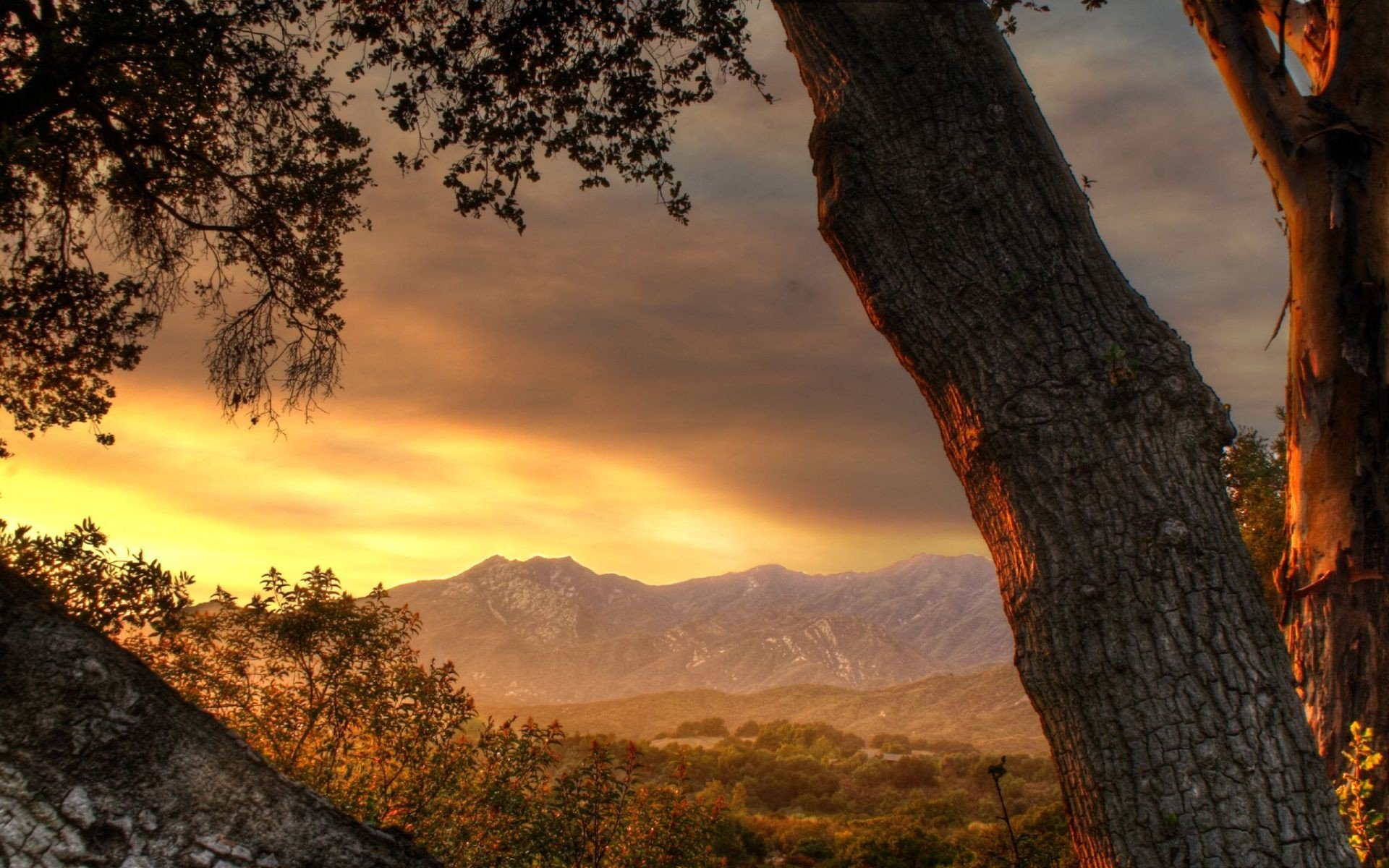 HD desktop wallpaper showcasing a serene nature scene with a golden sunset casting warm light over trees and distant mountains.