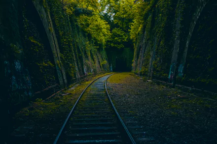 A man-made railroad track curves through a dense green forest, captured in stunning 4K Ultra HD for a vivid desktop wallpaper and background.