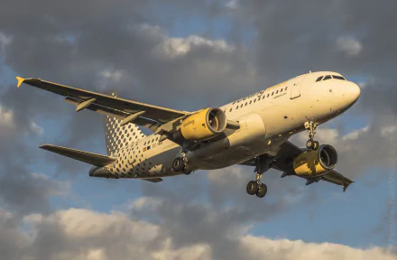  Vueling Airlines EC-MIR Airbus A319-111