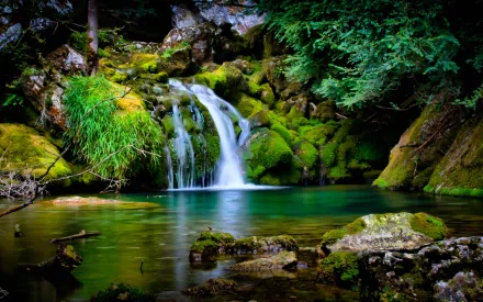 A stunning HD wallpaper of a serene waterfall in France, surrounded by lush, green nature. The clear water cascades over moss-covered rocks, creating a tranquil and picturesque landscape.
