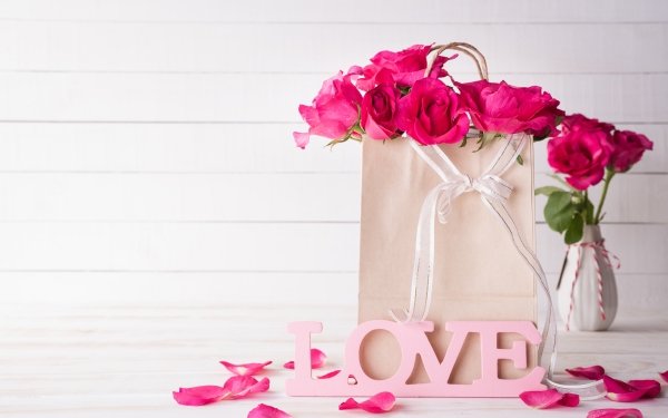 Photography Love Still Life Flower Rose Pink Flower HD Wallpaper | Background Image