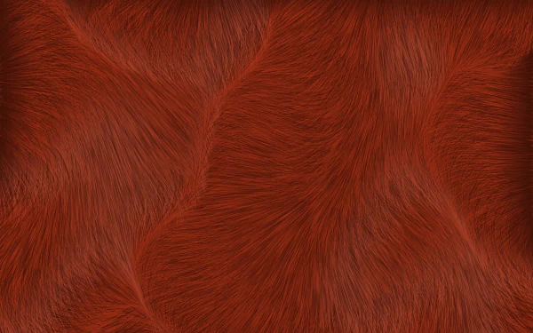  Texture