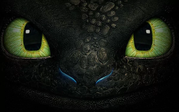 Toothless (How to Train Your Dragon) movie How to Train Your Dragon HD Desktop Wallpaper | Background Image