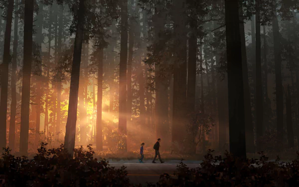 4K Ultra HD Life Is Strange 2 PC wallpaper depicting two characters walking through a dense forest with sunlight streaming through tall trees.