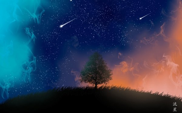 Artistic Tree Night Stars Shooting Star HD Wallpaper | Background Image