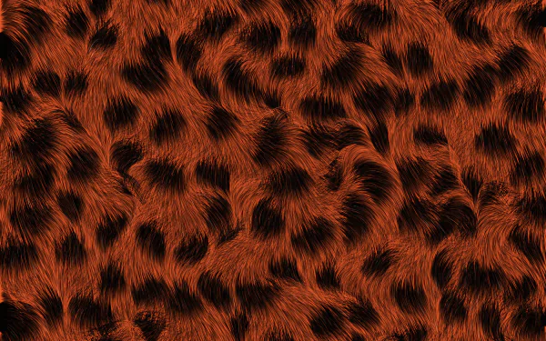  Texture