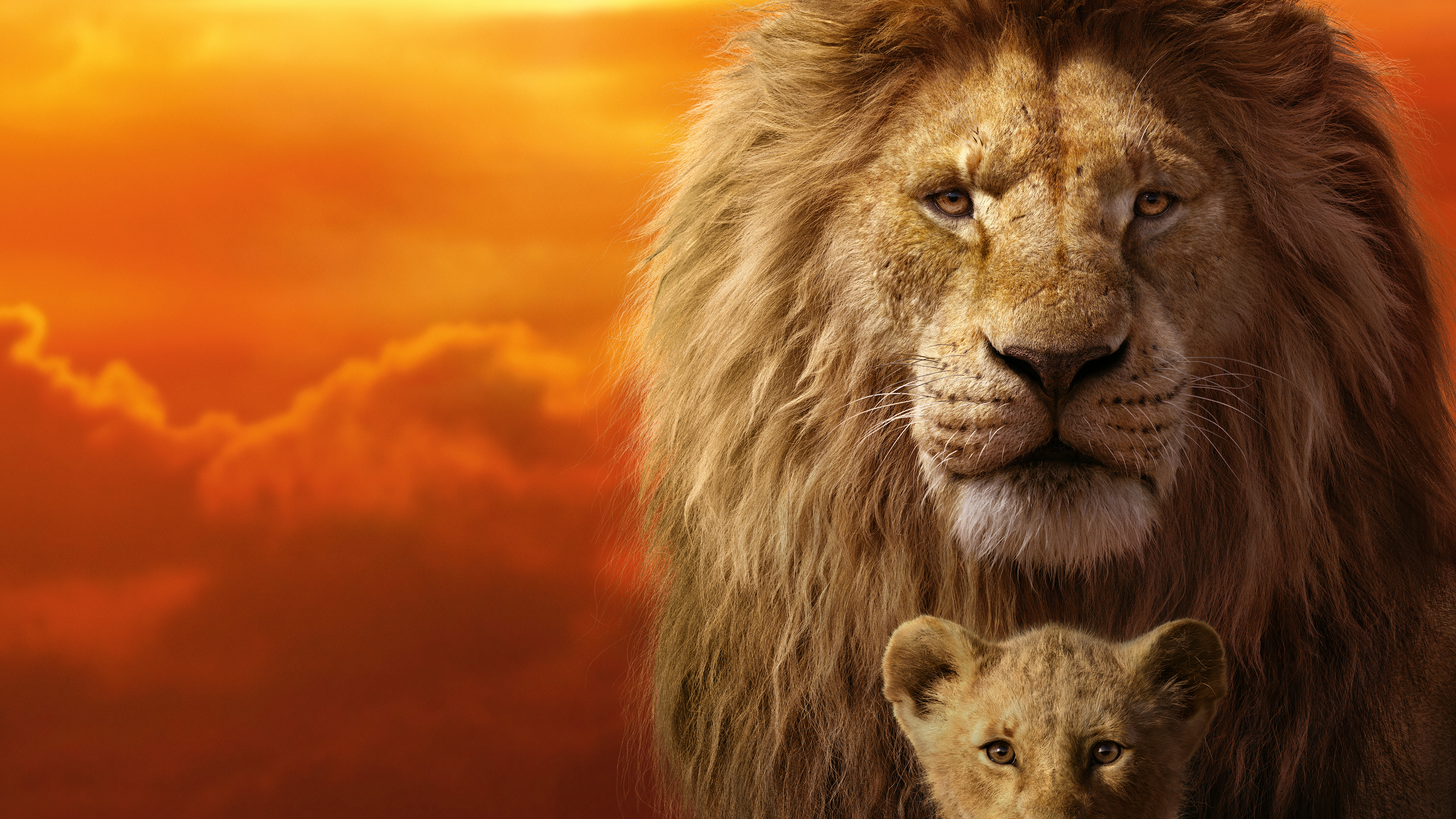 Movie The Lion King (2019) 4k Ultra HD Wallpaper