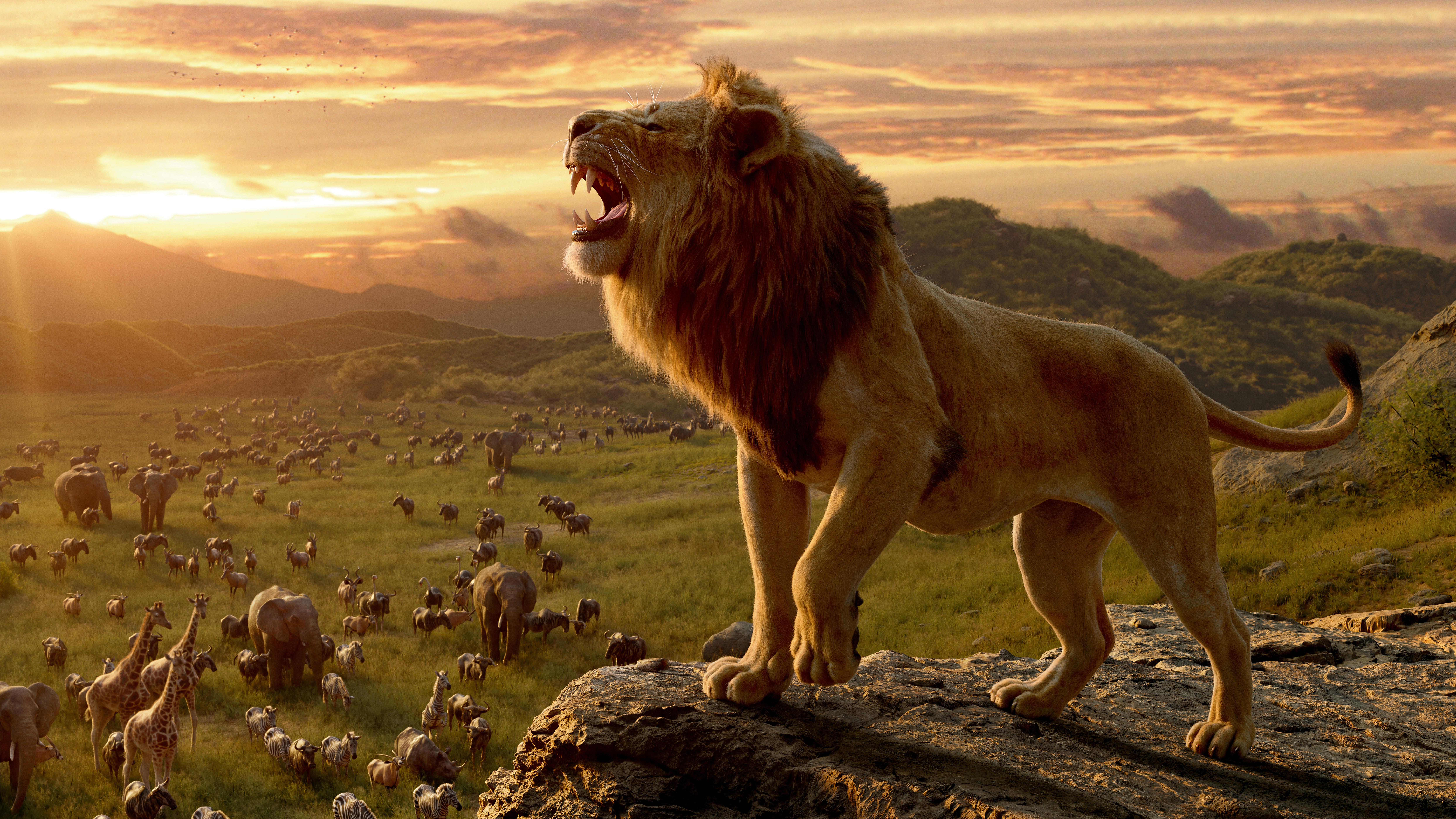 The Lion King (2019) 8k Ultra HD Wallpaper