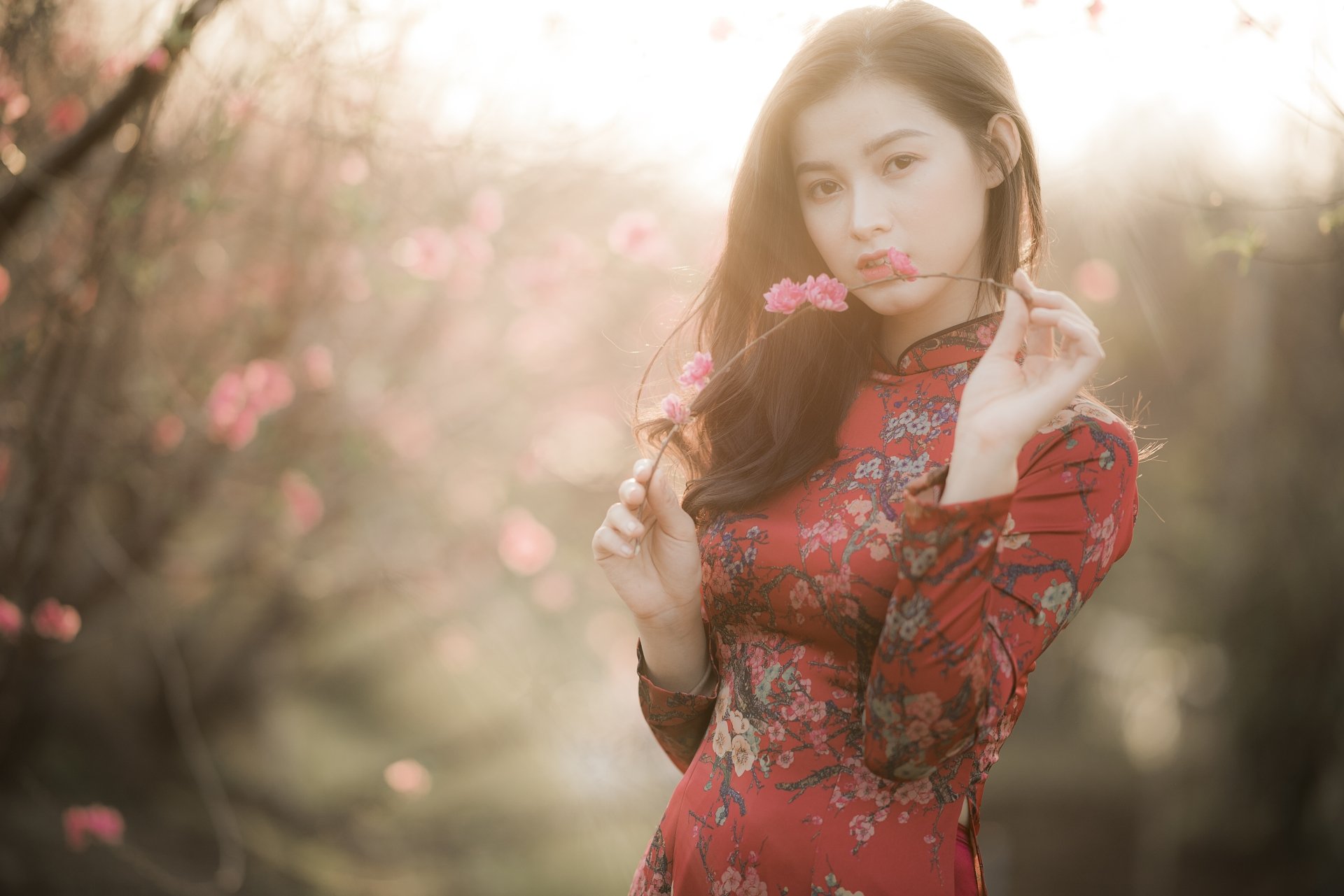 Download Brunette Kimono Depth Of Field Model Woman Asian 4k Ultra Hd