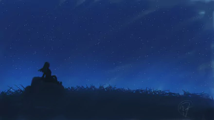 grass blue sky star night woman artistic HD Desktop Wallpaper | Background Image
