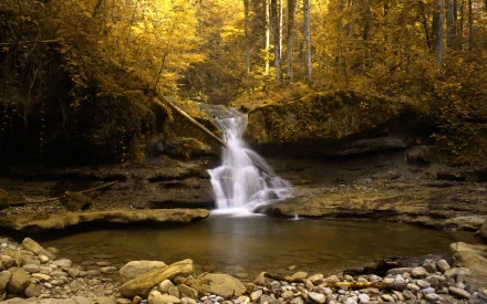 HD desktop wallpaper showcasing a serene Swiss forest waterfall in fall, surrounded by golden autumn foliage and smooth rock formations in tranquil nature.