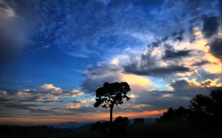 A solitary tree silhouetted against a vibrant sunset sky, filled with clouds, showcases the beauty of nature in this stunning HD desktop wallpaper.