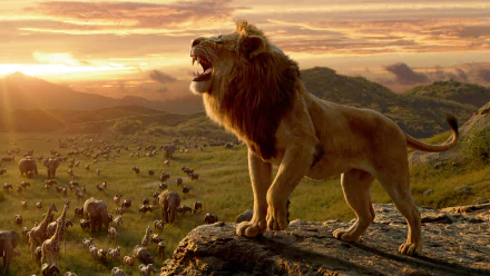 Mufasa (The Lion King) lion movie The Lion King (2019) HD Desktop Wallpaper | Background Image