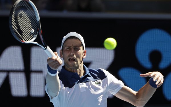 Sports Novak Djokovic Tennis Serbian HD Wallpaper | Background Image